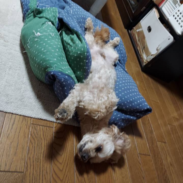 33174200 8081 4aa3 a4ac 8726926fe932 1620949702699