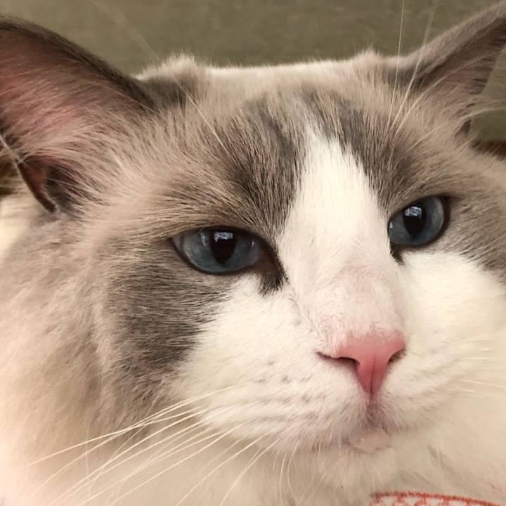 33176431 ec5e 4c4b 9997 23fcd6d86dba 1598665004319