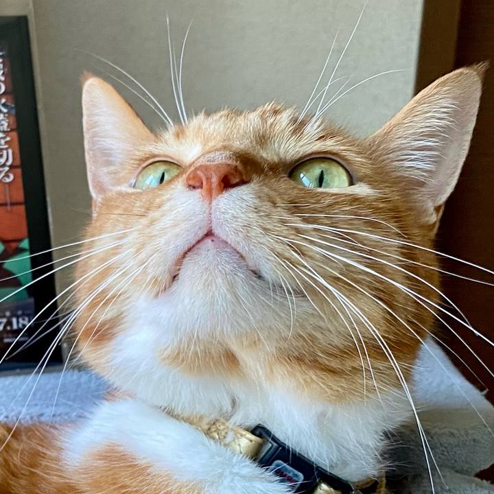 3317ab0e bb5c 4e9a 8c84 be889064ea0f 1753532111155