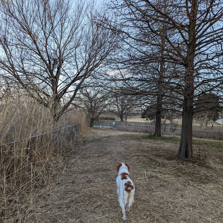 3317cc6f 42a6 43be a686 4098a6fd05b9 1644022286792