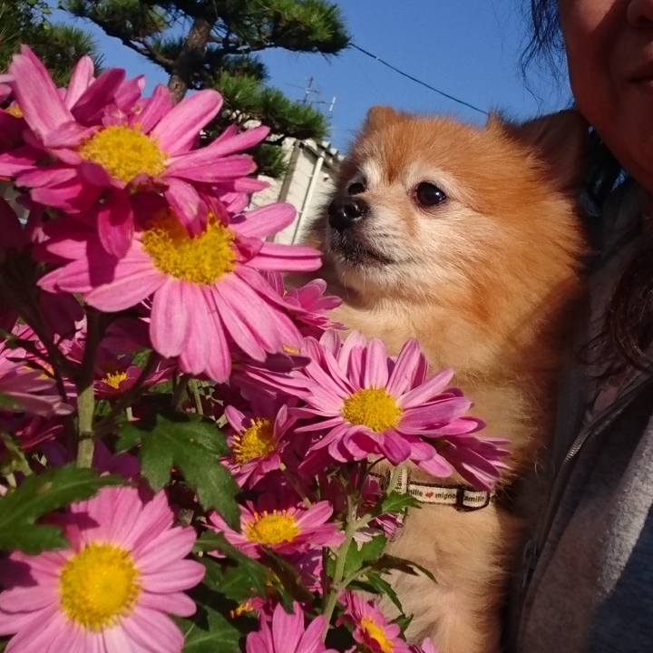 3318112e a0e9 4adf add7 5f318f70c269 1509859741028