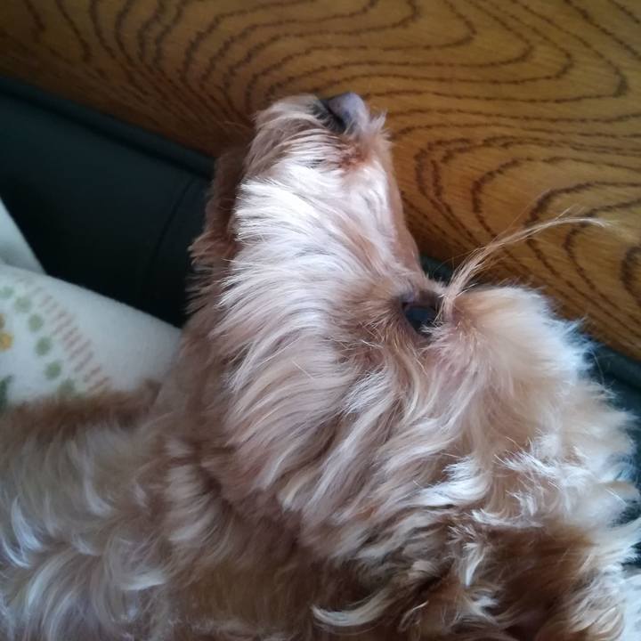 331841b8 8f2f 4337 acef 7570b3c3ee44 1552633396058