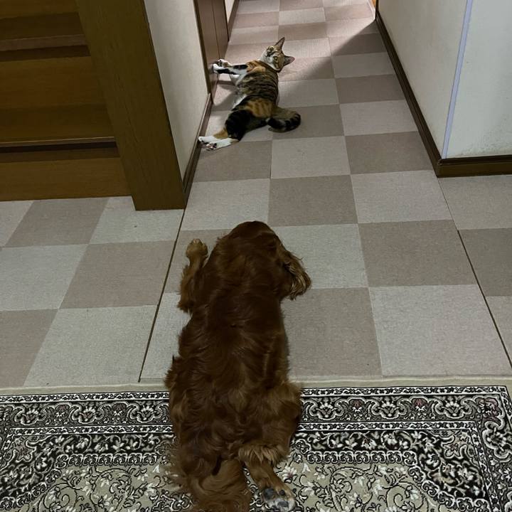 331855e7 1cfb 4aa9 9ebf b3a39cff28a4 1718624315533