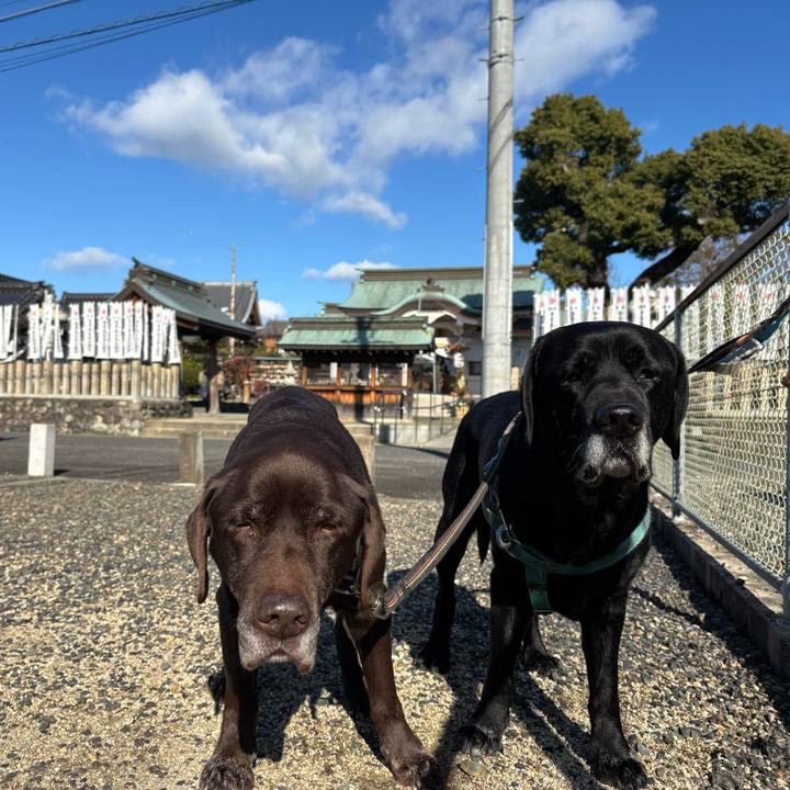 3318756f d3c8 48d4 94a2 1b387d1b5059 1767264283837