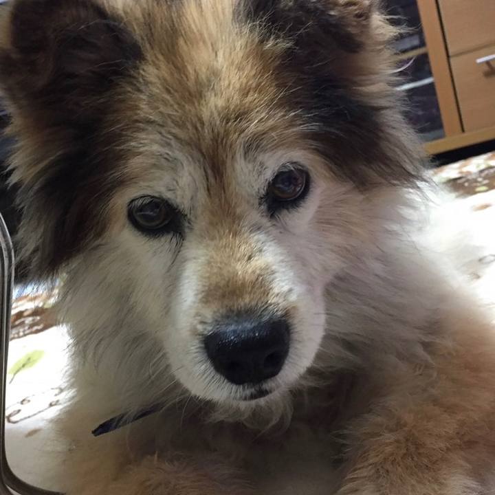 331879de 96be 4e7e 9445 566b4a70f6da 1644382062835