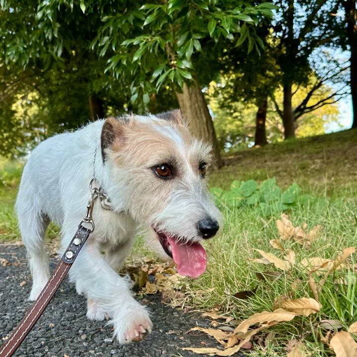 33189b74 5c7f 42da 8965 66d339a4d366 1756889771164