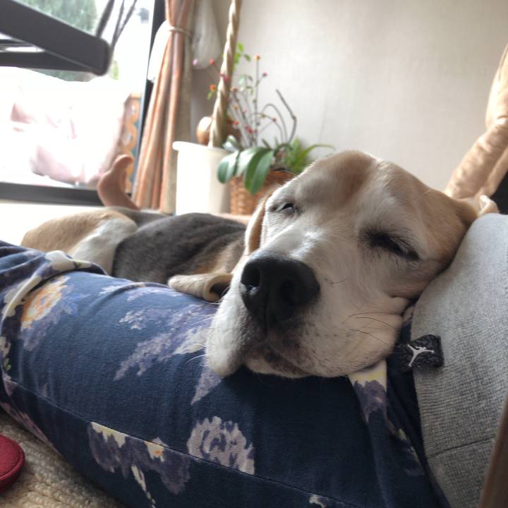 3318acd0 6a81 4fbc b5cc 3f6be7c6f05c 1545309930008