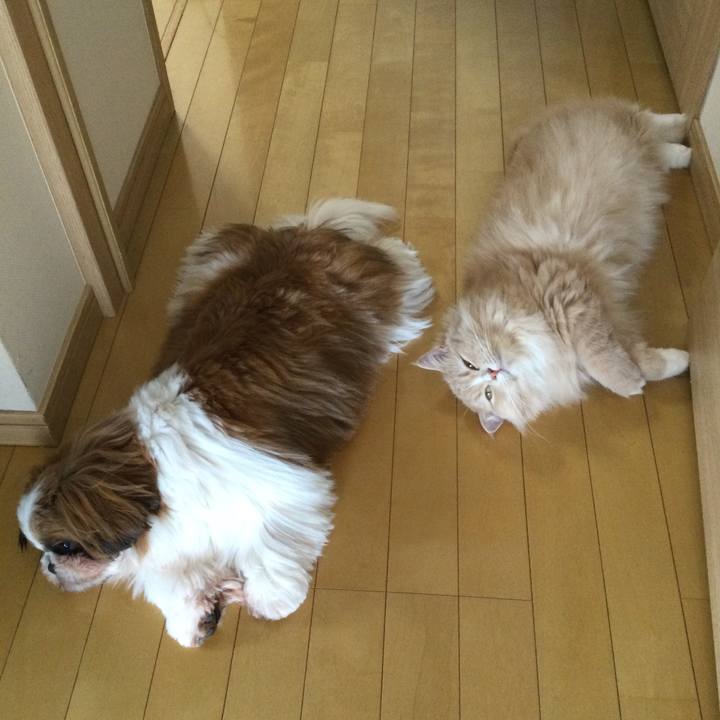 3318b542 a87a 4140 81d1 fc3f7527ab87 1625624308634