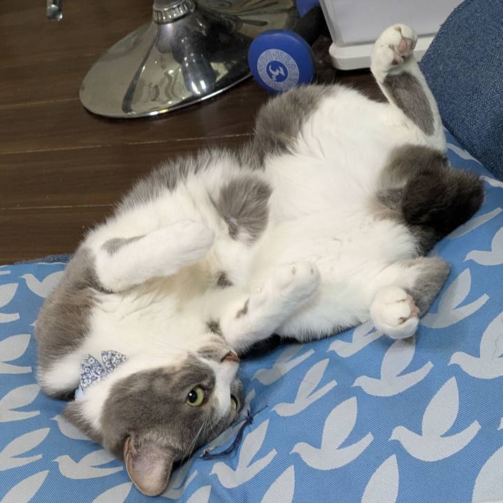 3318d819 e5b6 4d86 9597 fbf8c2442bd3 1760970278304