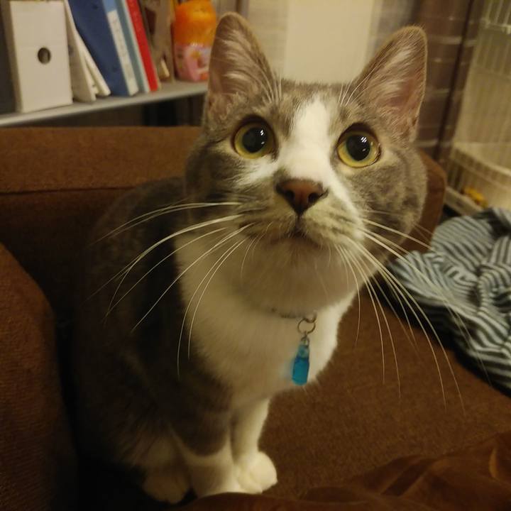 3318d9da 5120 4154 a884 893cfada76ff 1588166329908