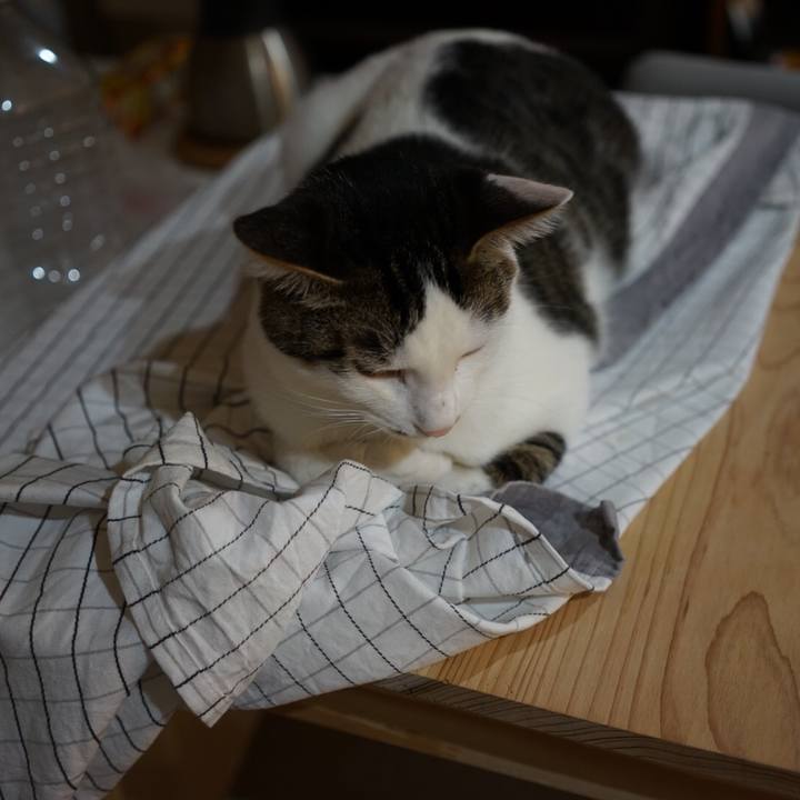 33191494 545e 44e1 8b21 1373e51b0ce0 1510616669121