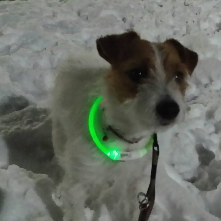 3319252a a612 43e0 8408 bc6926cbe856 1516834996916