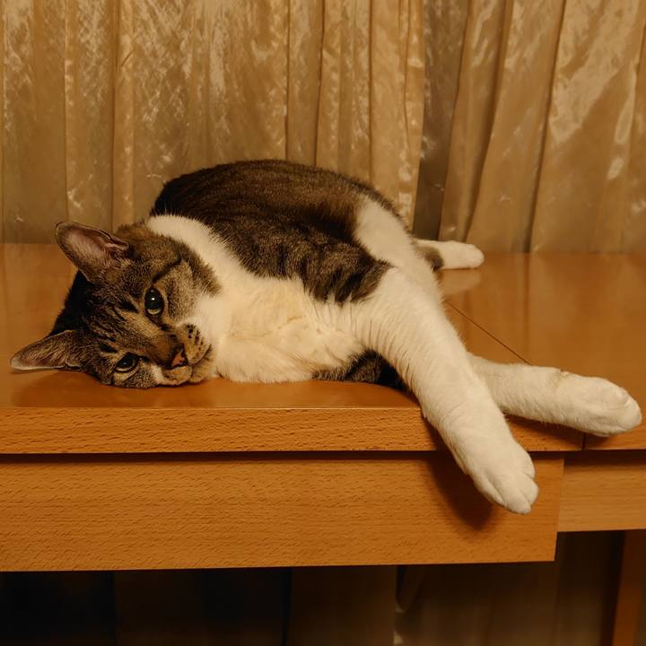 33196063 f6e5 4298 b394 925ef284323e 1688385691170