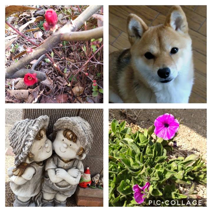 3319731e 5f26 4fb6 83e0 9f32e4162e1a 1646286514860