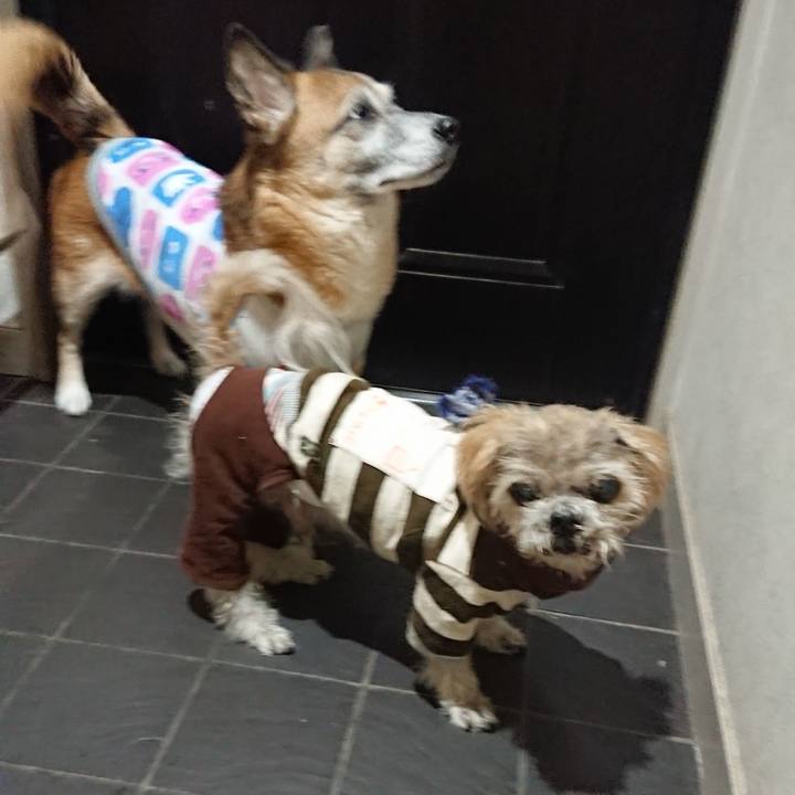 33198397 2873 4fc4 9964 fa0815da98a3 1527168639968