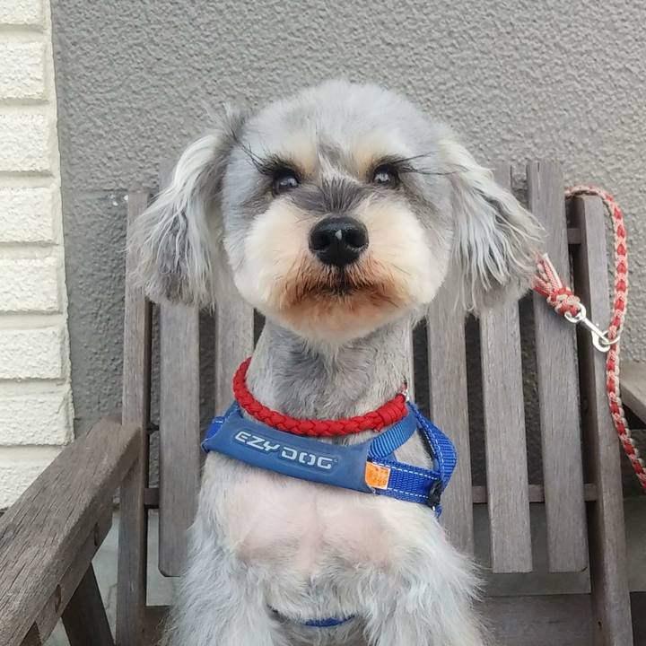 33198b49 f4a3 4009 8c38 1e2a9d8fcfed 1668033876908