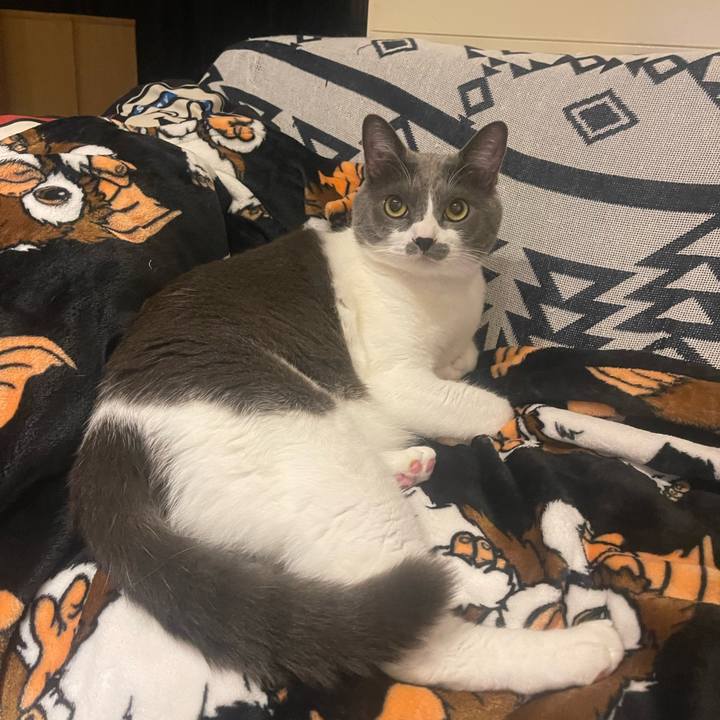 331996a8 941a 4ef1 8d85 35ffd41681a5 1698516576343