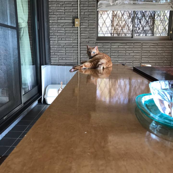 3319c659 3402 4d02 8cf1 c96922811846 1578211459878