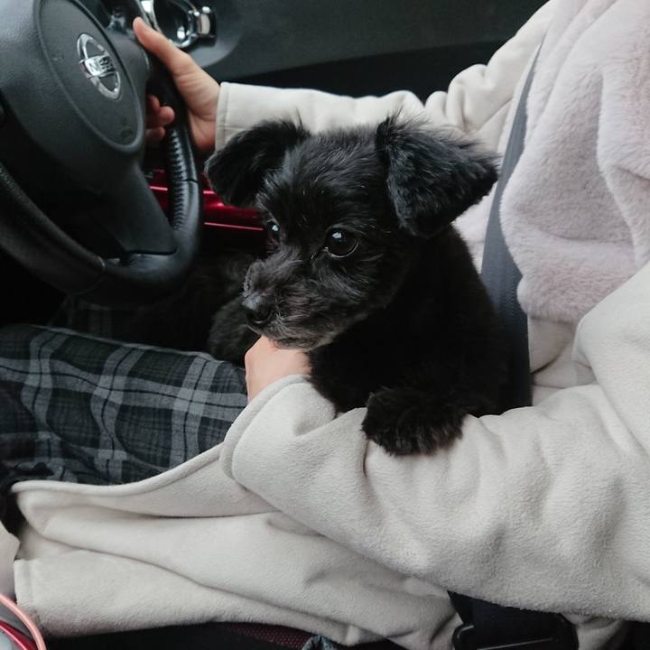 331a1494 52c1 43b3 8ab5 fc43d66e2e2e 1544936187846