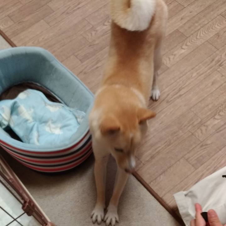 331a2c45 34cb 42f7 80b9 606b30e2ce1c 1536984609392