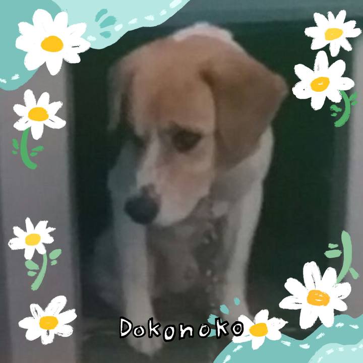 331a2f74 e6a2 42ad 90db 21f1e9c79c66 1712292041921