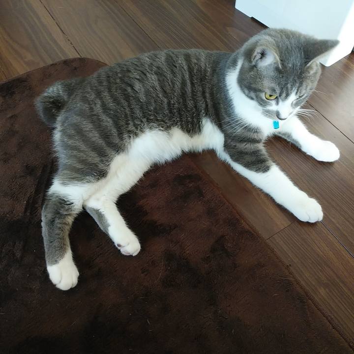 331a3946 2844 4653 a222 719bae60b6ac 1583882883236