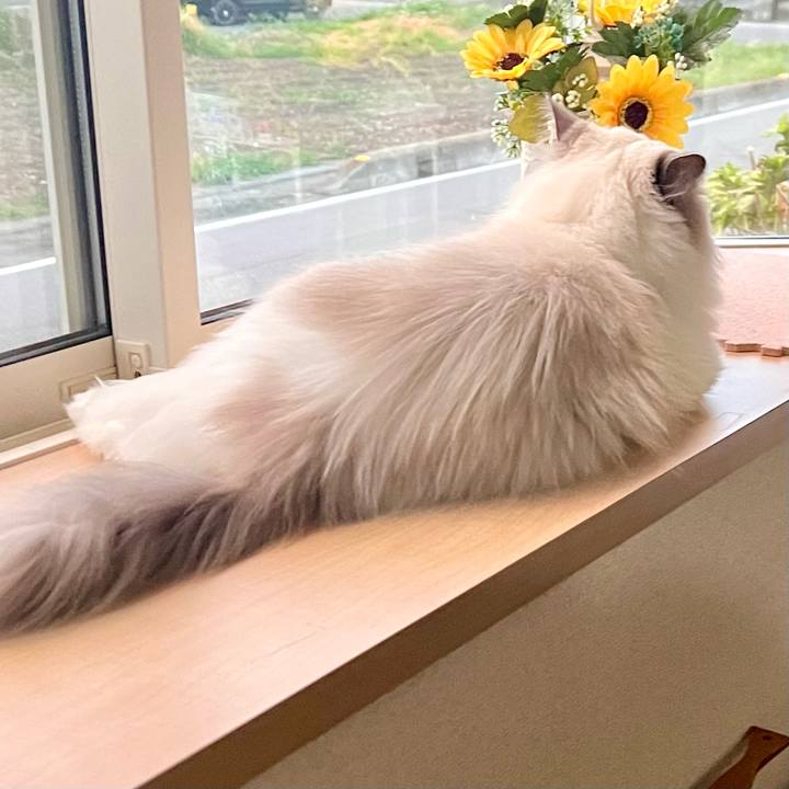 331a410e ec76 450c a434 c32e66e34aee 1691577313418