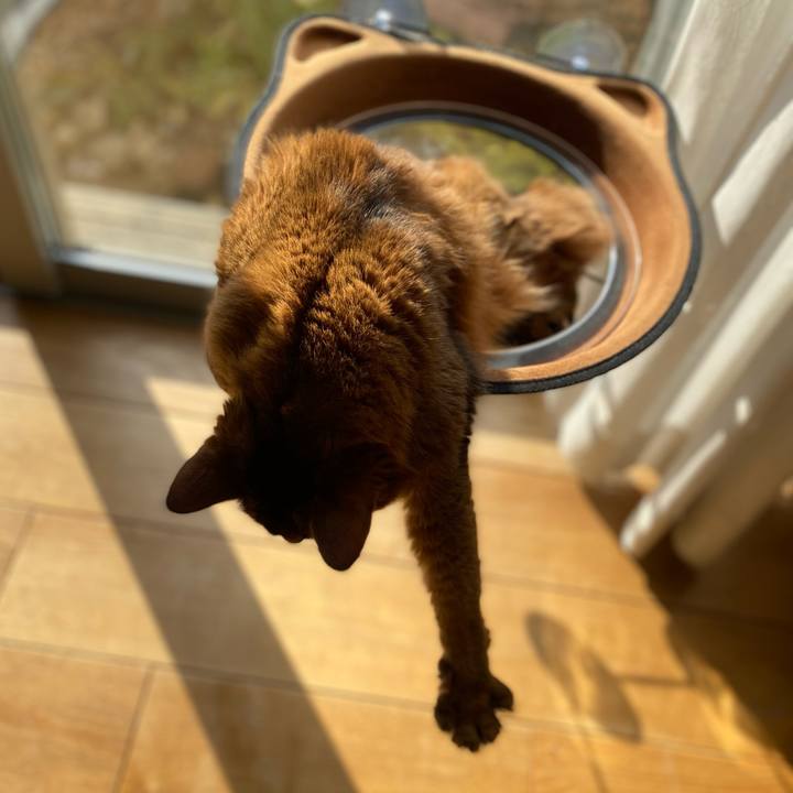 331a5aef cd39 411e 82f8 462de9f0803e 1643876402947