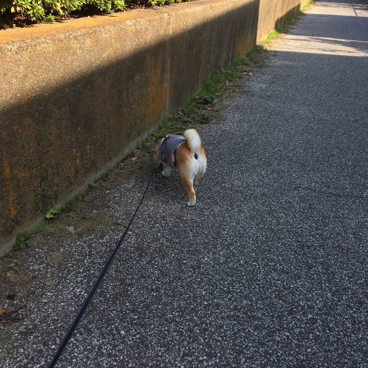 331a6be2 c5d1 4b30 ac53 5f78d384b614 1542426518461