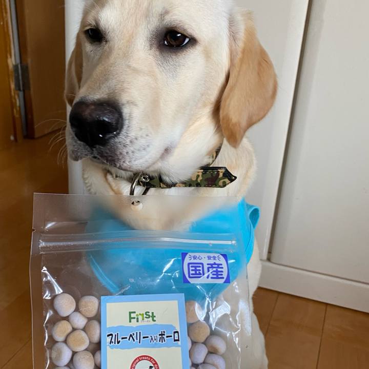 331a6e7c 2e91 4c4a b6d0 50ca54f1a803 1620686165166