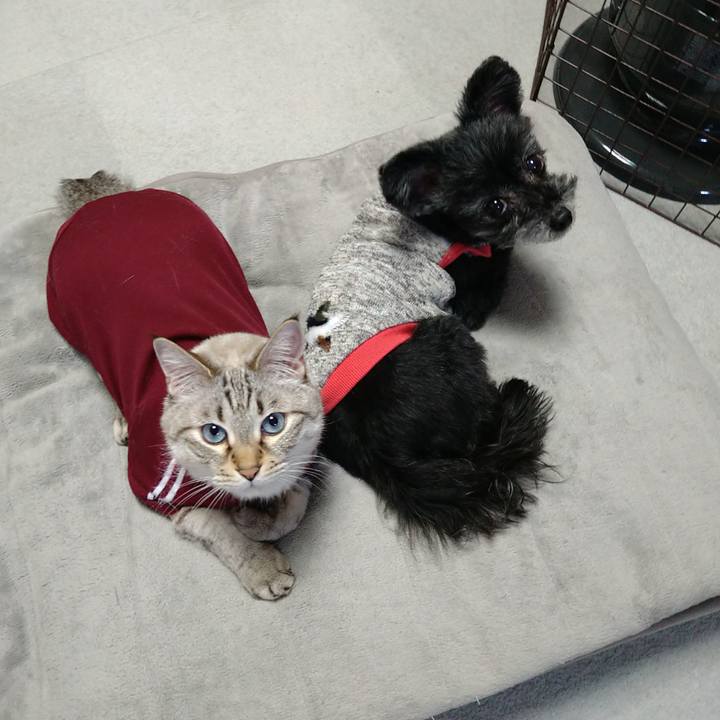 331ab459 a750 4f69 bc3e 34192a0473f1 1706699030498