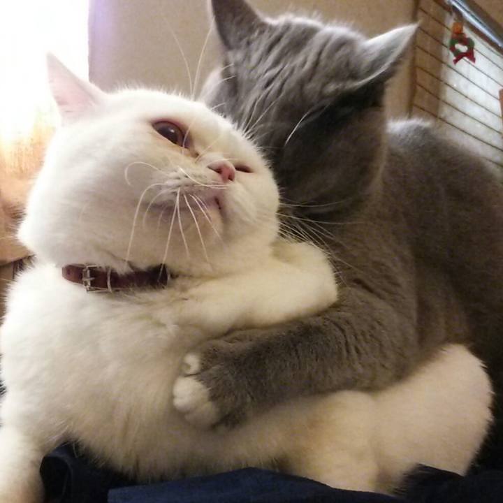 331ac128 9e1f 4045 8c59 5f9ae3c82bd5 1547874699418