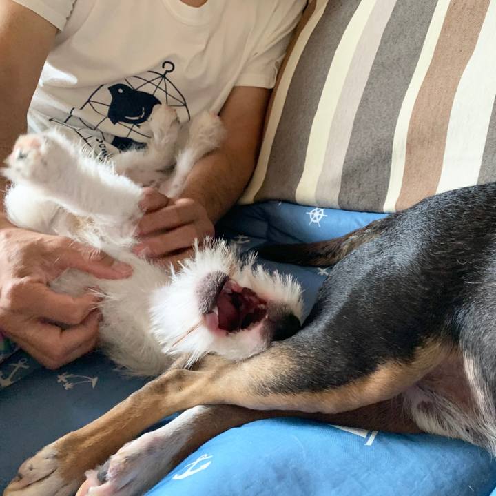 331ac1c9 1732 493c ad32 99a46340dad7 1566113372128