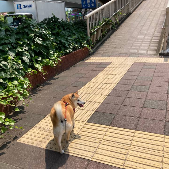 331ac607 458d 4ad9 9717 3f957d1f208c 1624618665818