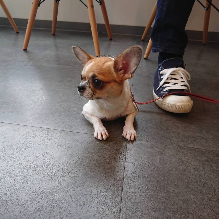 331ad9b9 8f9c 4ed6 9059 a7e01bf4e629 1537079037506