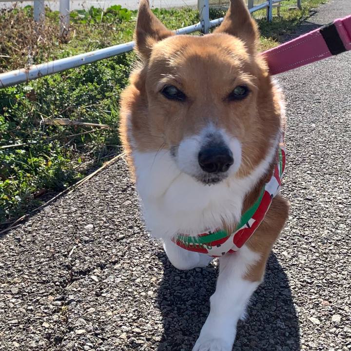 331b009d 2f5b 42f4 9ca1 01329bcfb21b 1706242651708