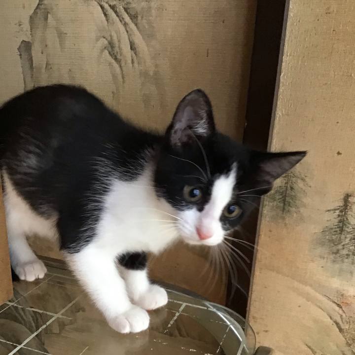 331b0dc2 744d 4ace 9dee 7fa9ebaea236 1625450739379