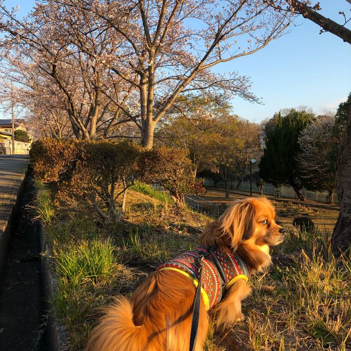 331b3347 a395 4734 9573 4c0a5ca53484 1554329237079