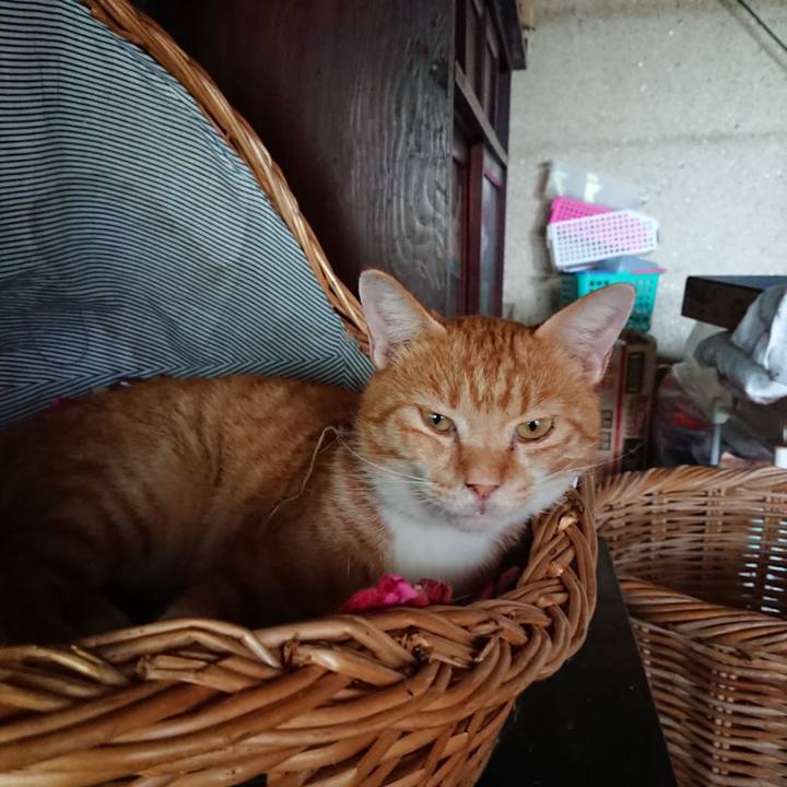 331b7b5d 8a4b 425b 9e7d 7c66fc99b118 1568610457223