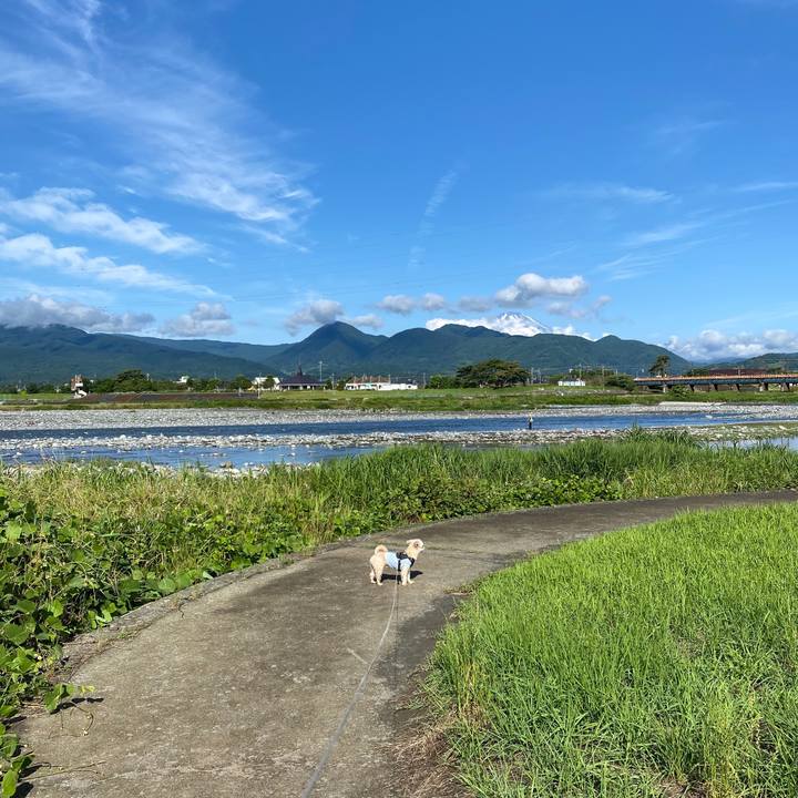 331bdd4f 5a0e 4ff2 a821 4a7fe598fd3f 1592610440638