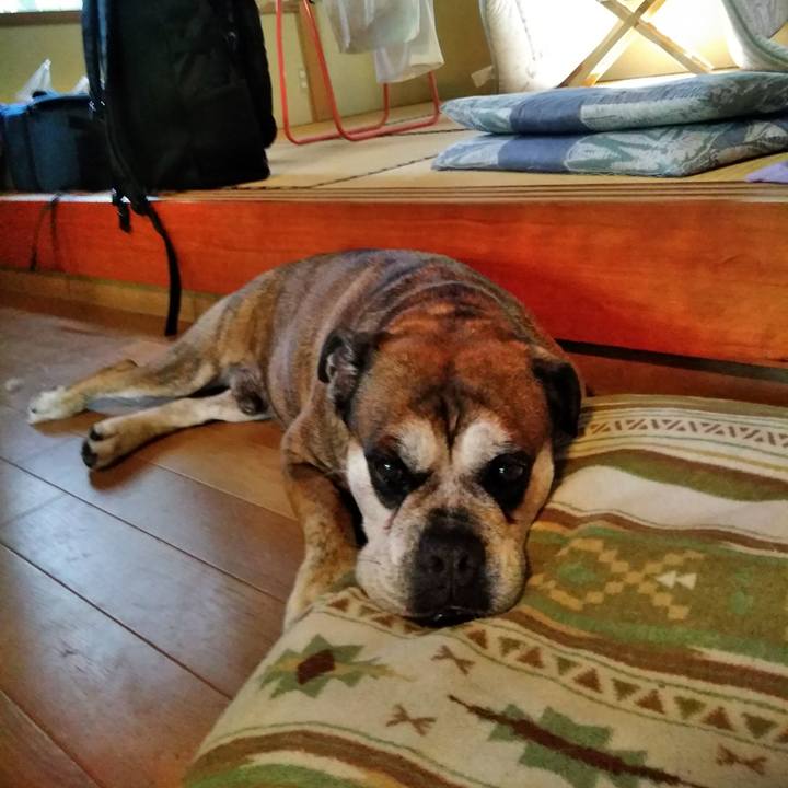 331c45df 0e7e 4b8a 9d58 3eb83babbc37 1534425528917