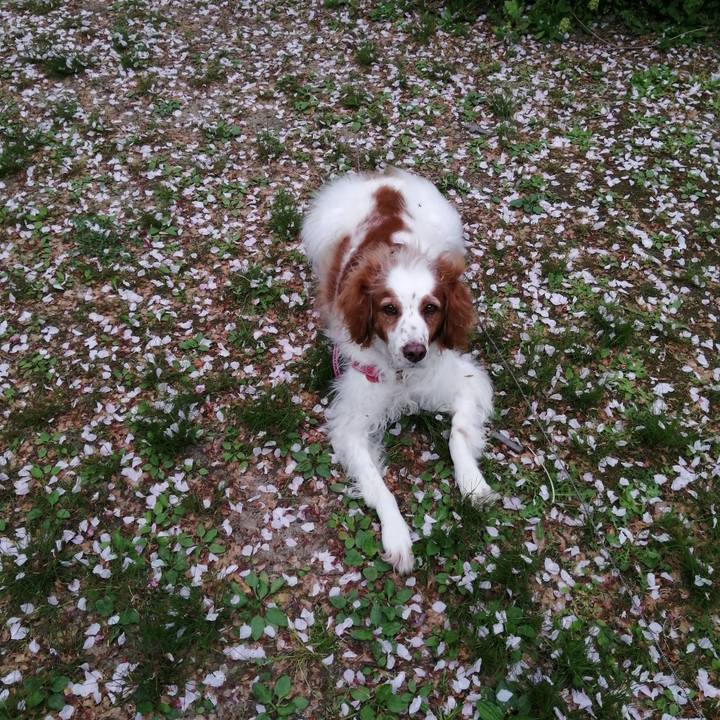 331c59bf 02a2 4fd2 9e4a 808fdfb6db56 1618217479689