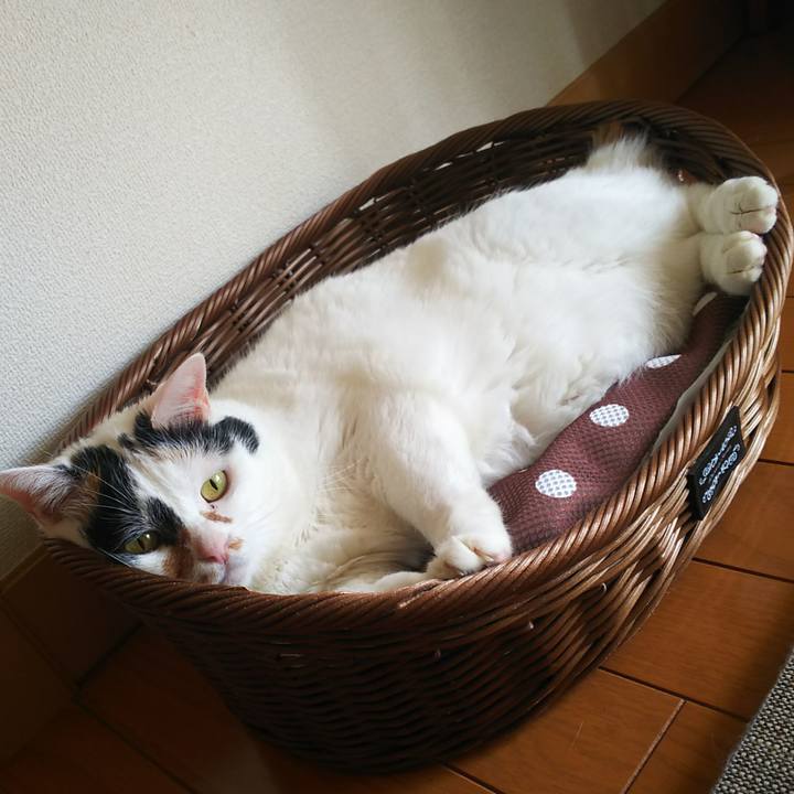 331c6d4e d92e 4c60 89e3 15ce3291f7a8 1571113776494