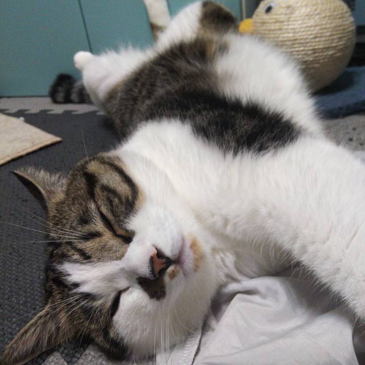 331c7274 5e87 4ed4 870e aa41c1d20b1d 1662119393598