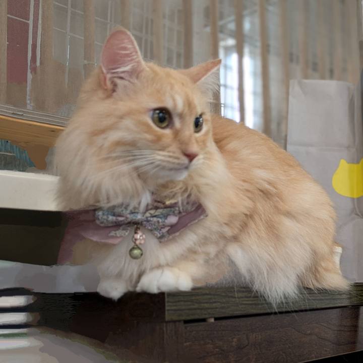 331c770c 31f3 4414 9114 e1c759d97c32 1726180048696