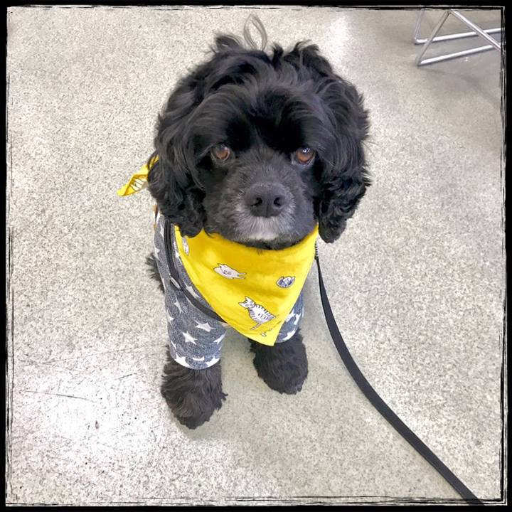 331c9dd4 fec1 40bb b6bc d21234e1376e 1553230279302