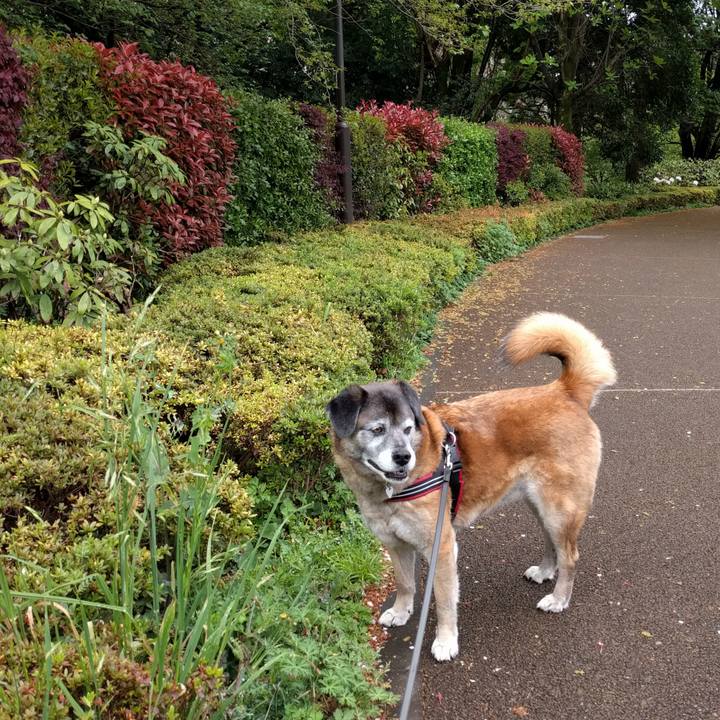 331caa86 e818 48d6 bff1 0ac6a401aadf 1556154493452