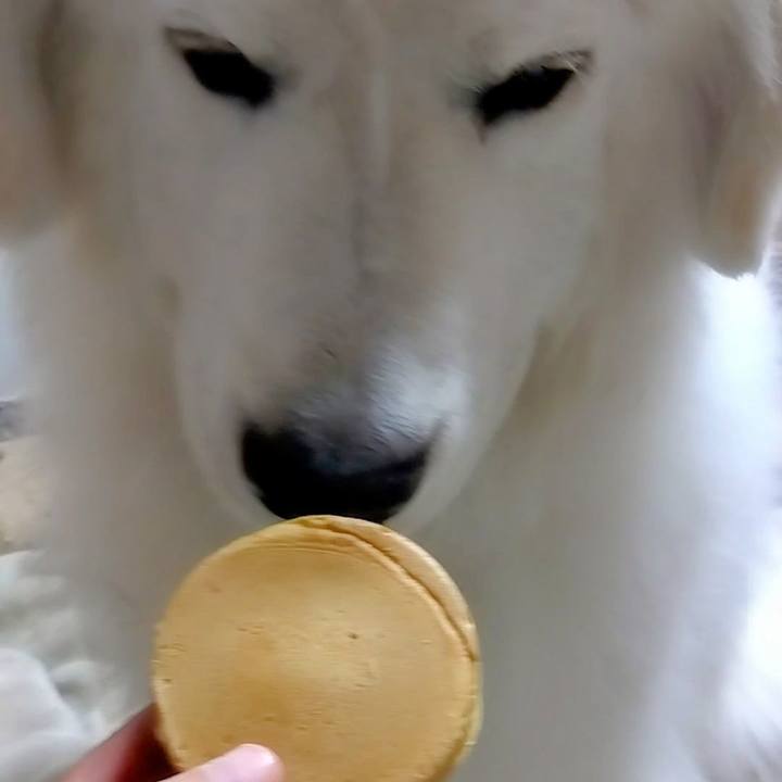 331cab46 3bf5 4fe0 b337 59ec45a280a1 1677287838554