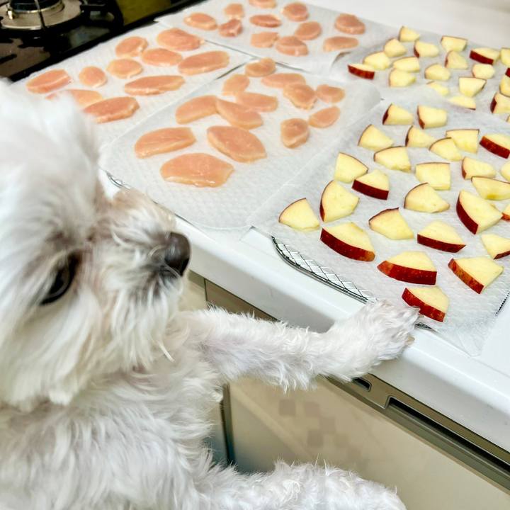 331cd020 d4cb 449d 95c7 5b781d74b29f 1667886271047