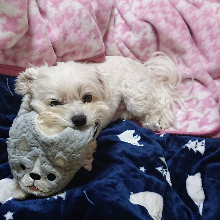 331cf740 5811 40a9 9301 bc0735a194cf 1610284964674